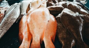 The Characteristics of a Traditional Economy