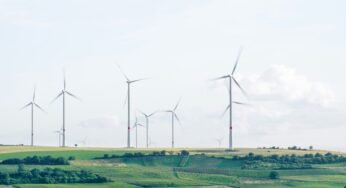 The Importance of Environmental Consciousness Essay