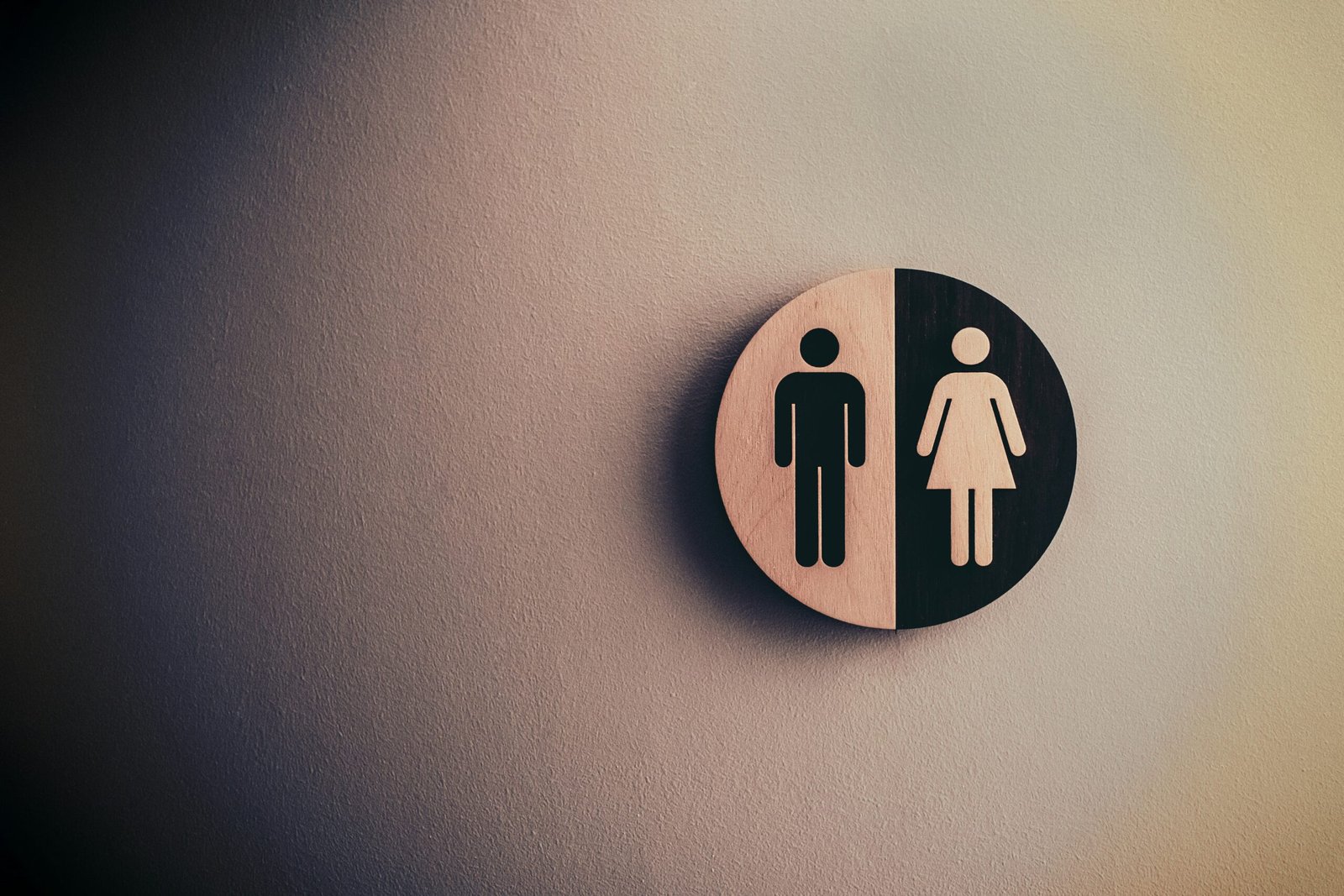 The Meaning of Gender