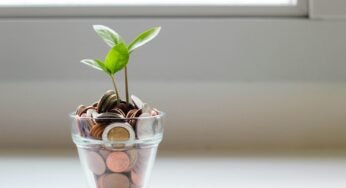 The Importance of Financial Management for Businesses