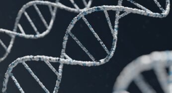 What are the main differences between DNA and RNA?
