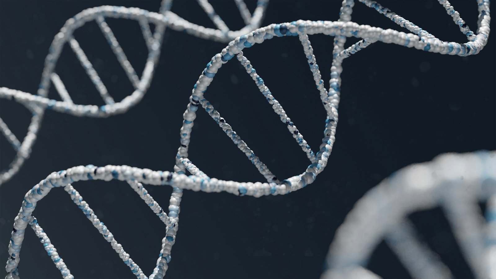 What are the main differences between DNA and RNA?